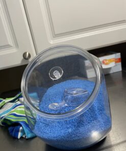 Clear Plastic Container with Lid - 80oz, 1 Piece - Perfect for Weddings, Birthdays & Celebrations 80 Oz 29 71m8Jao9pPL