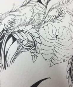 Brause – Calligraphy Writing Nibs Variety Set, 6 Nibs 14 71m8SDxwknL