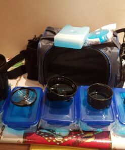 ThinkFit Insulated Meal Prep Lunch Box with 6 Food Portion Control Containers - BPA-Free, Reusable, Microwavable, Freezer Safe - With Shaker Cup, Pill Organizer, Shoulder Strap & Storage Pocket (Blue) Blue 56 71m9BpuyFCL