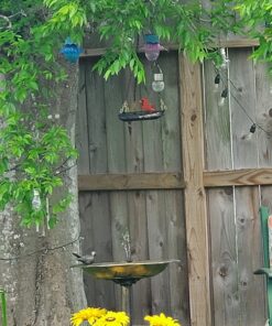 Hanging Bird Feeder Tray with Strong Double-Loop Hanging Chains Steel Hanging Platform Bird Feeder Dish 9.25 Inch (Dia) with 19 Inch Chains, Gifts for Mom, for Women 1 Pack Round 27 71m9uILg3sL