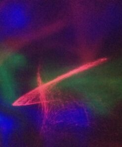 Aurora Northern Light Projection LED Night Light Lamp with 8 Lighting Mode & Speaker, Relaxing Light Show for Baby Kids and Adults, Mood Light for Baby Nursery Bedroom Living Room (Black) Blue,Green 37 71mChmVsFgL