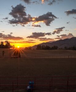 K&F Concept 82mm Variable Fader ND2-ND32 ND Filter and CPL Circular Polarizing Filter 2 in 1 for Camera Lens No X Spot Waterproof Scratch Resistant (Nano-X Series) 30 71mDfjnkpZL