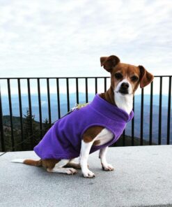 Gooby Fleece Vest Dog Sweater - Lavender, Medium - Warm Pullover Fleece Dog Jacket with O-Ring Leash - Winter Small Dog Sweater Coat - Cold Weather Dog Clothes for Small Dogs Boy or Girl Medium chest (~16") 28 71mH2ph57UL