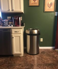 simplehuman 115 Liter / 30 Gallon Bullet Open Top Trash Can Commercial Grade Heavy Gauge, Brushed Stainless Steel 115 Liter Round 11 71mHrF3Me L