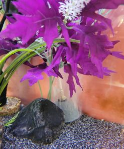 Tetra Whisper Air Pump with Minimal Noise and Maximum Air Flow 20 to 40 gallons 32 71mLndncMHL