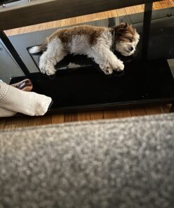 NaturVet Quiet Moments Calming Aid Dog Supplement – Helps Promote Relaxation, Reduce Stress, Storm Anxiety, Motion Sickness for Dogs – Tasty Pet Soft Chews with Melatonin – 70 Ct. Dog - Quiet Moments Melatonin 70 Soft Chews 27 71mN5CbLLVL