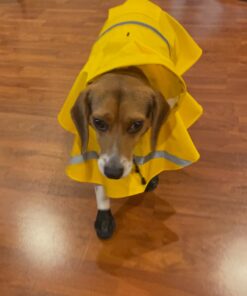 PawZ Rubber Dog Boots for Paws up to 2 1/2", 12 Pack - All-Weather Dog Booties for Hot Pavement, Snow, Mud, and Rain - Waterproof, Anti Slip Dog Socks - Small, Black 34 71mNd9ckQL