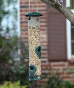 Alternative view of Ashman Bird Feeder Green Color (1 Pack), Metal Top and Bottom, Spacious Design, Attractive & Long Lasting, Fill it with Sunflower Black Oil Seeds, Clean and Fill, Great Gift for Friends and Family. 1