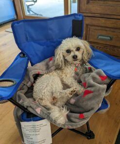 Redmon Umbrella Kids Camping Chair with Matching Shoulder Bag,Nylon, Royal Blue 16 71mRWRXSjOL