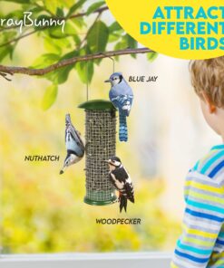 Premium Steel Sunflower Seed and Peanut Feeder, 9.5" Tall, Wild Bird Feeder for Woodpeckers, Titmice, Nuthatches, Chickadees, Jays and More, Gifts for Mom, for Women, Gifts for Dad 9.5 inch 23 71mUaXItExL