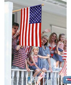 Annin Flagmakers Model 21850 American Flag All-Weather Nylon SolarGuard NYL-Glo, 2.5 x 4 Feet, Red,White 25 71mUbCSRRcL