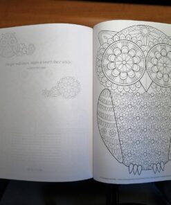 Groovy Owls Coloring Book (Coloring is Fun) (Design Originals) 32 Adorable Art Activities with Quiet, Stoic, Wise, and Happy Owls, plus Beginner-Friendly Advice, Techniques, Color Choices, & Examples Paperback, Coloring Book 54 71mUzJ 5wjL