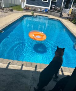 INTEX 58883EP Inflatable Sit 'N Lounge Pool Float: Heavy Duty Grab Handles – 47" Diameter – 220lb Weight Capacity – One Lounge – Color May Vary 47" 22 71mVS4 W9L