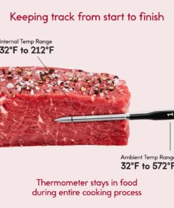CHEF iQ Smart Wireless Meat Thermometer with 2 Ultra-Thin Probes, Unlimited Range Bluetooth Meat Thermometer, Digital Food Thermometer for Remote Monitoring of BBQ Grill, Oven Hub + 2 Probes (2023) 48 71mWD1bN 0L