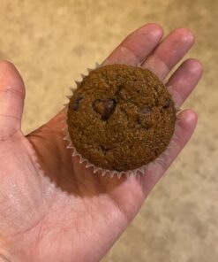 Green Direct Cupcake Liners - Standard Size Cupcake Wrappers to use for Pans or carrier or on stand - White Paper Baking Cups Pack of 500 40 71mXMvhwoFL