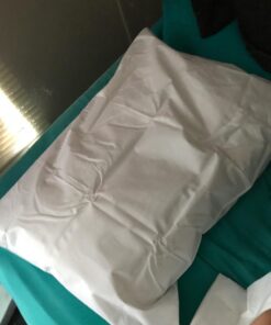 Premium BED Bugs Pillow Protector a Set of 2 Pillow Protectors (Queen (21"x"28)) Queen (21"x"28) 20 71mZDVcRu1L