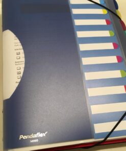 Pendaflex PileSmart Project Sorter, Letter Size (50995) 19 71mc2cjqRL