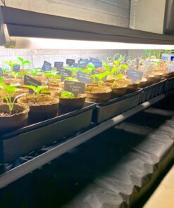 Prudance® 50pcs T Tag Plant Markers - Premium Nursery Garden Labels - Black 30 71mcejmd0fL