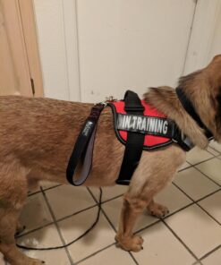 Leashboss Short Dog Leash for Dog Training | Padded Traffic Handle Short Leash for Dog Training, Total Comfort When Dog Walking | Traffic Leash for Dogs Large, Medium, Small | Short Nylon Dog Lead 12 Inch Black/Red/Grey 47 71mg33lceZL