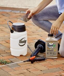 Roundup Concentrate Extended Control Weed & Grass Killer Plus Weed Preventer II Large Concentrate 13 71mgY72dLlL