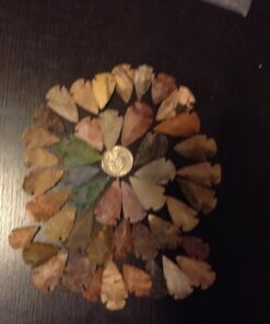 Set Of 50 Indian Arrowheads Agate New Replica 1/2 " - 1 1/2 " L 28 71mgt 0VsIL