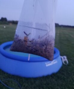 Intex Basic Pool Maintenance Kit for Above Ground Pools 45 71mhpQOmoML