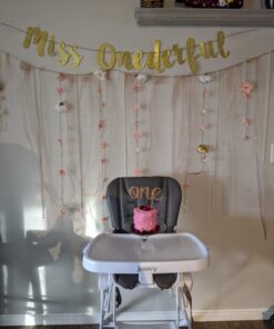 Joovy Nook High Chair Featuring Four-Position Adjustable Swing Open Tray, and Removable, Dishwasher-Safe Tray Insert for Easy Cleaning - Folds Down Flat for Easy Storage (Charcoal) Charcoal 37 71mjkuEzeYL