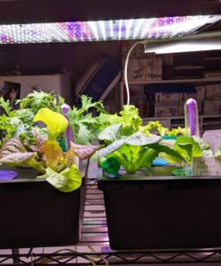 BN-LINK 8 Outlet Surge Protector with Mechanical Timer (4 Outlets Timed, 4 Outlets Always On) - White 33 71mm9GIbu5L