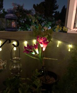 TONULAX Solar Garden Lights Outdoor - New Upgraded, Multi-Color Changing Lily Solar Lights for Patio,Yard Decoration, Bigger Flower and Wider Solar Panel (2 Pack,Purple and Red) 2 Pack 41 71mmAjkc7WL