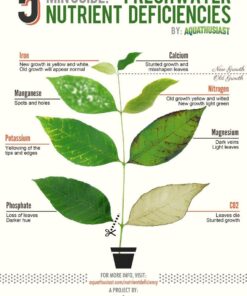 Seachem Flourish Excel 500 ml 52 71mmFt7Hv7L