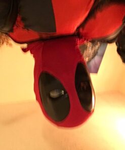 Ace Martial Arts Supply Leonardo Dual Ninja Swords with Back Carrying Scabbard 59 71mntJGhQiL 1