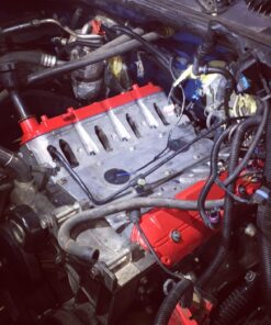 Dorman 917-033 Ignition Knock (Detonation) Sensor Connector Compatible with Select Models Black 34 71mqLX6F7gL