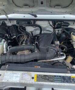 Gunk CEB1 Engine Shine Protector and Detailer, 15 Oz 15 Ounce 39 71msAFqkxfL