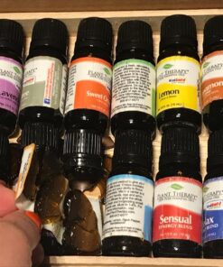 Plant Therapy 7 & 7 Essential Oils Set 7 Single Oils: Lavender, Peppermint & More, 7 Synergy Blends 100% Pure, Undiluted, Natural Aromatherapy, Therapeutic Grade 10 mL (1/3 oz) 7 & 7 Set 0.34 Fl Oz (Pack of 14) 37 71mxczS8XZL