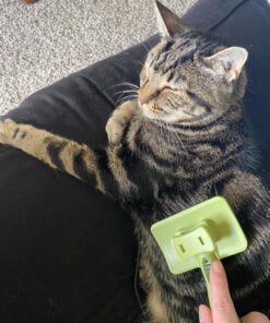 Coastal Pet Safari - Cat Self-Cleaning Slicker Brush - Cat Grooming Supplies Pack of 1 29 71mxtRVix9L