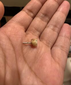 Dr. Christopher's Infection 100 caps 26 71myrBRyhrL