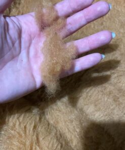 MidWest Homes for Pets Dog Bed 22L-Inch White Cinnamon Dog Bed or Cat Bed w/ Comfortable Bolster | Ideal for XS Dog Breeds & Fits a 22-Inch Crate | Easy Maintenance Machine Wash & Dry 27 71mzupdM1UL