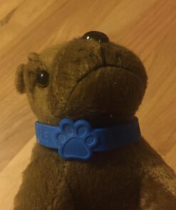 Fun Express Paw Print Rubber Bracelet - 24 Pieces - Educational And Learning Activities For Kids 22 71n 7epvYWL