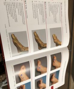 Pictorial Atlas of Acupuncture: An Illustrated Manual of Acupuncture Points 13 71n0g0dTtnL