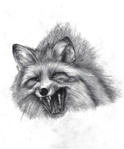 Premium Quality Sketch to Shade Art Supplies 37 Pcs Art Set | Includes Exclusive Drawing Tutorials Ready as Birthday Gifts, Holiday Gifts, Artist Gifts, Celebrations with Art Gifts for a Scetch Lover 37-Piece 39 71n1 RcRkKL