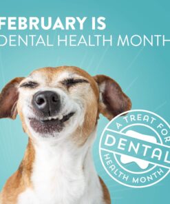 DOGSWELL Dog Dental Care Treats Made in USA Only, Grain Free Chicken Jerky Dog Treats, 24oz Bag 1.5 Pound (Pack of 1) 22 71n1VqWGPFL