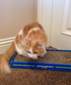 Catit Cat Scratcher, Wide Cat Board 21 71n34DRr5OL