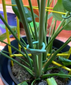 Luster Leaf 16025 Rapiclip Soft Wire Tie 839, 16' Light Duty, Green Soft Wire Tie, Green, 16’ 13 71n3j9FCm8L