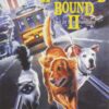 Homeward Bound II - Lost in San Francisco DVD April 23, 2002 19 71n6QoO701L