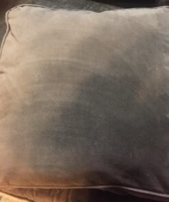 Lilly Brush Forever Furless Pet Hair Remover Brush | Gentle Bristled Cat & Dog Hair Remover Brush for Home, Auto Car Detailing Supplies, Lint Brush, Furniture, Fabric & Rug Cleaner 42 71nAZWpvNL 1