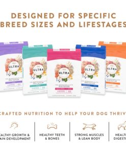 NUTRO ULTRA Adult Large Breed High Protein Natural Dry Dog Food with a Trio of Proteins from Chicken Lamb and Salmon, 30 lb. Bag 30 Pound (Pack of 1) 35 71nAbYoV9tL