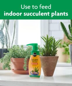 Miracle-Gro Succulent Plant Food, 8 Oz., For Succulents including Cacti, Jade, And Aloe, 1 Pack 37 71nBXvW8SCL