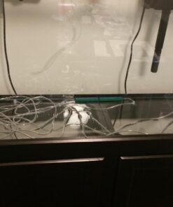 Penn-Plax Standard Airline Tubing for Aquariums – Clear and Flexible – Resists Kinking – Safe for Freshwater and Saltwater Fish Tanks – 25 Feet 24 71nCxRnfEYL