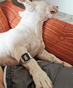 Casio Men's A158WA-1DF Stainless Steel Digital Watch 38 71nI09GNTdL