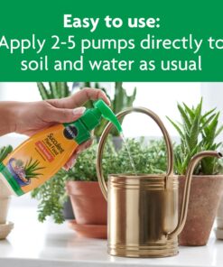 Miracle-Gro Succulent Plant Food, 8 Oz., For Succulents including Cacti, Jade, And Aloe, 1 Pack 39 71nIGtCwoUL